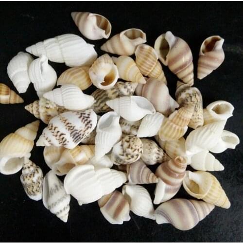 Cute Conch Sea Shell Beads Ocean Shell Charms Pendants Starfish Anklet Bracelet Necklace DIY Jewelry Making Handmade Accessories