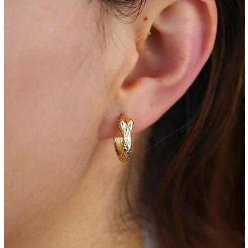 Fashion Cute Summer Punk Style Animal Snake Earrings for Women Girls Show Times Jewelry Small Snake Shape Delicate Stud Earrings