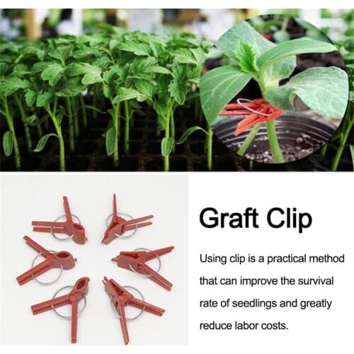 50 PCS Plastic Plant Clips Supports Connects Reusable Protection For Vegetable Cucumber Eggplant Watermelon Vine Seed Grafting
