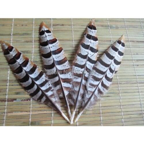 Free shipping wholesale 100pcs high quality natural Wild pheasant feathers 10-15cm / 4-6inch variety of decorative and collect