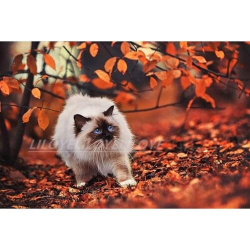 5d-diamond-painting with square stones Full full square round Drill 3D Diamond Embroidery cat Cross Stitch Home Decoration FG126