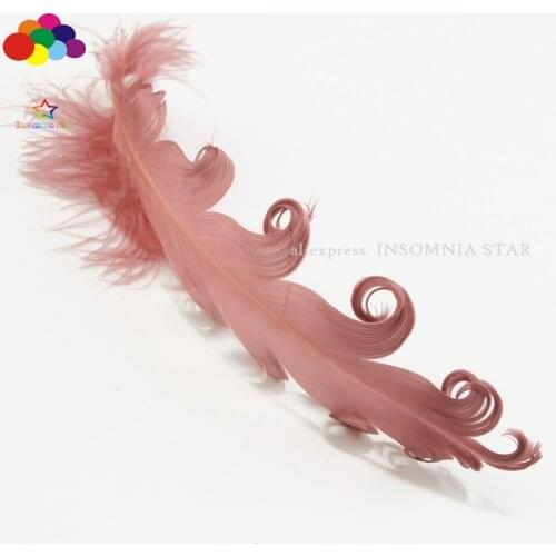 Wholesale Mask Headress 100 Pcs Rust Goose Feathers 15-20 CM/6-8inch Carnival Wedding Halloween Christmas Wedding