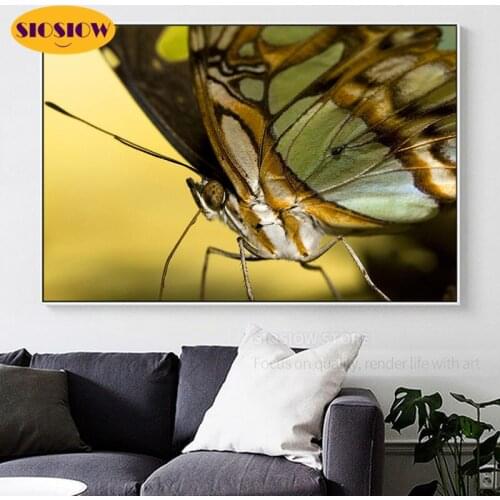 5d Pictures Diy Big Diamond Painting Square Full Animals Drill Round Diamond Mosaic Embroidery Butterfly Crystal Decor Home Room