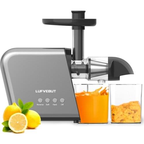 LUFVEBUT Slow Masticating Juicer Machines, Cold Press Slow Juicer Extractor for Fruit and Vegetable Celery Ginger, Easy to Clean