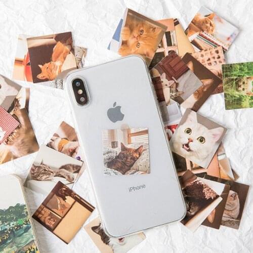 46pcs Cat Mini box sticker Pet DIY Cartoon scrapbook decoration Decorative Paper Decals Funny Animals Decor 4*4 CM