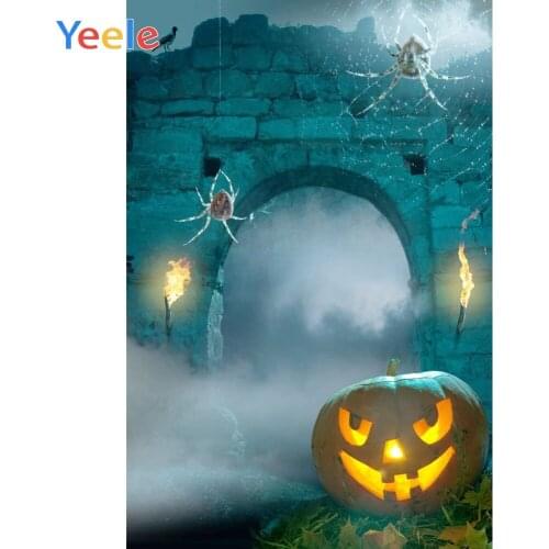 Halloween Photo Background Pumpkin lantern Spider Arched Door Stone Wall Photocall Photography Backdrop Vinyl For Photo Studio