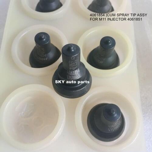 4061854 |SPRAY TIP ASSY, FOR M11 INJECTOR 4061851