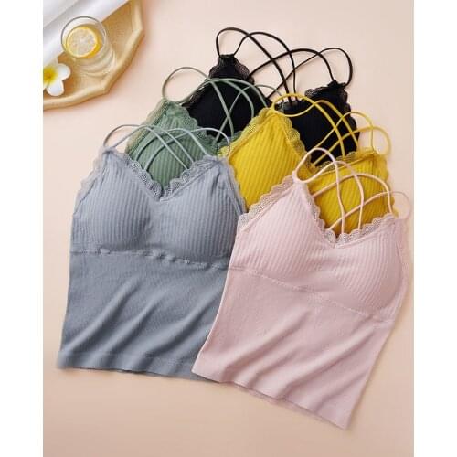 Striped Lace Crop Top Sexy Back Lady Tops Solid Color Lingerie Padded Simple Underwear