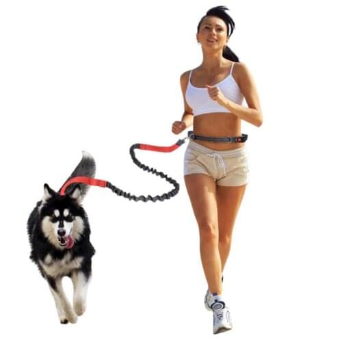 Hands-free dog leash Traction Rope Pet Dog Running Belt Elastic Hands Freely Jogging Pull Dog Leash Metal D-ring Leashes