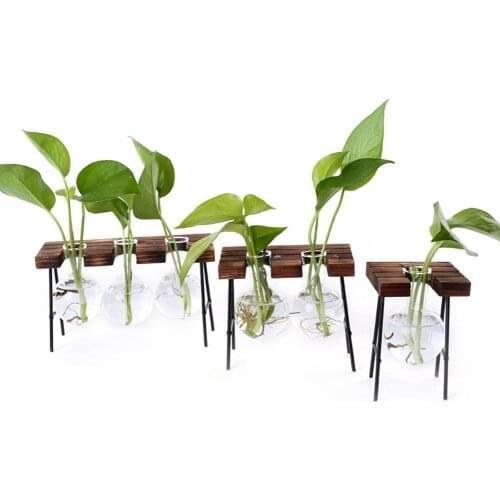 Plant Hydroponics Glass Bottle Green Plant Container Living Room Innovative Fresh Ornaments Small Ball Type