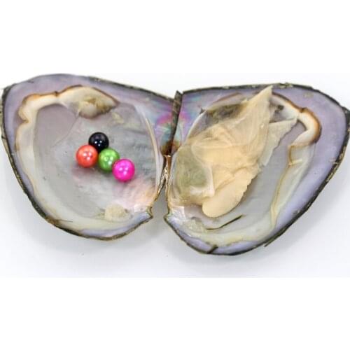 10PCS Grade AAA triplets pearls in FreshWater oysters,Individual package 6-7mm rice pearl with mix 20 colors For party FO033