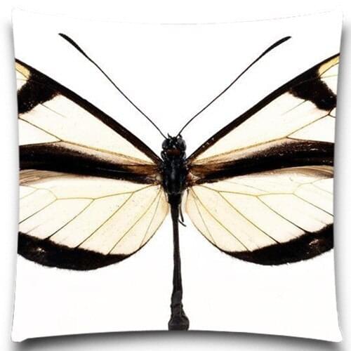 Butterfly specimens pattern Cushion Cover Colorful butterfly Sofa/car/chair Cotton polyester home decoration