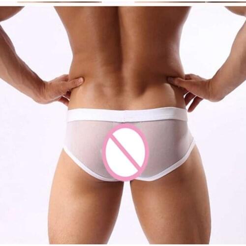 Hot Sexy Lingerie Mesh Lace Transparent White Underwear Men Ptanies Mens Sexy Tangas Underpants Low-Waist Briefs Sexy Exotic