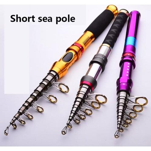 Paonear Winter Fishing Rods