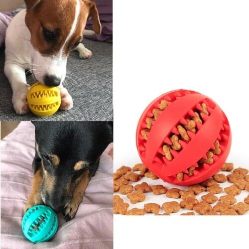 1PCS Non Toxic Rubber Dog Balls Interactive Dog Toys for Small Dogs Tooth Chew Cleaning Toy for Dogs Pet Cat Puppy Accessories