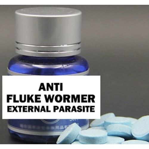 Fish Fungicide 30 Tablet Anti Fluke Wormer External Parasite Aquarium Tropical Treatment Broad-spectrum Fish Regular Drug Basic