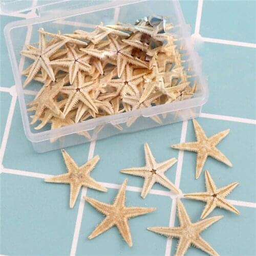 Natural Mediterranean Sea Stars Cute Mini Starfish Decoration DIY Craft Beach Cottage Kids Room Ornaments Home Decor Epoxy 2-5cm