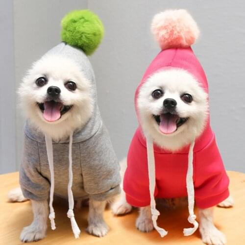 Puppy Hoodie Loose Windproof Casual Dog Two-legged Hooded Coat for Autumn