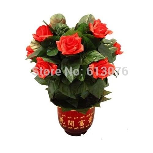 Blooming Rose Bush ,Remote Control - 10 Flowers - Magic trick,flower magicclose up magic