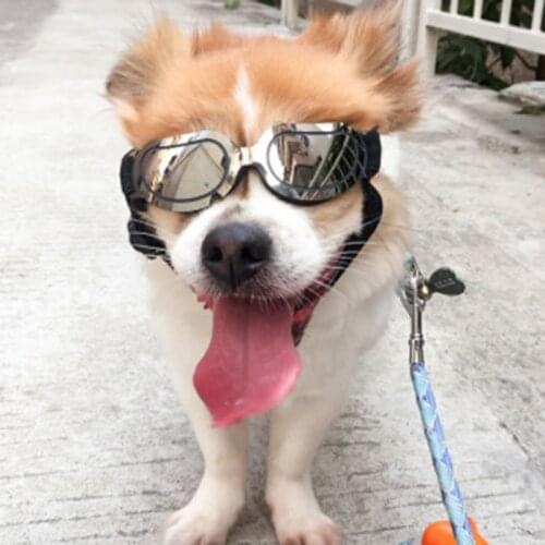 Foldable Pet Glasses Waterproof Windproof Dog Goggles Sunscreen Cat Dog UV Protection Sunglasses Exquisite Pet Eyewear Supplies