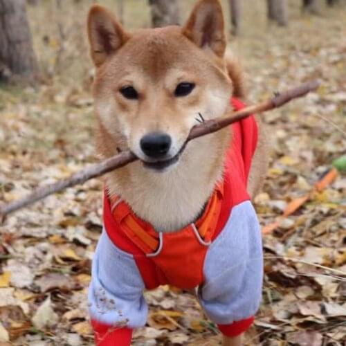 Fashion Pet Dog Jacket Clothes Puppy Winter Warm Coat Jacket Sweater For Small Medium Dogs Chihuahua Pug French Bulldog LXC38