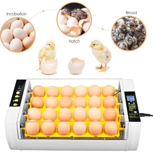 Eggs Incubator Brooder Bird Quail Chick Hatchery Incubator Poultry Hatcher Turner Automatic Farm Animal Supplies Incubation Tool