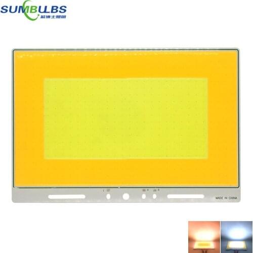 New Arrival Double 200W COB LED Panel Light Warm+Cool White Flip Chip 12V LED Lamp for Outdoor Camping Party Light Car Bulb DIY