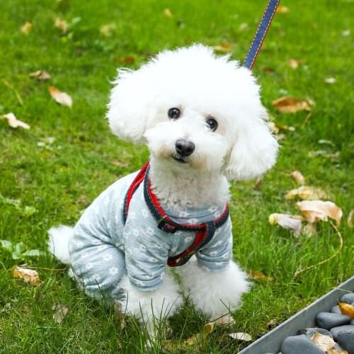 Pet Dog Cat Seat Belt Adjustable Harness Seatbelt Lead Leash for Small Medium Dogs Travel Clip Pet Supplies