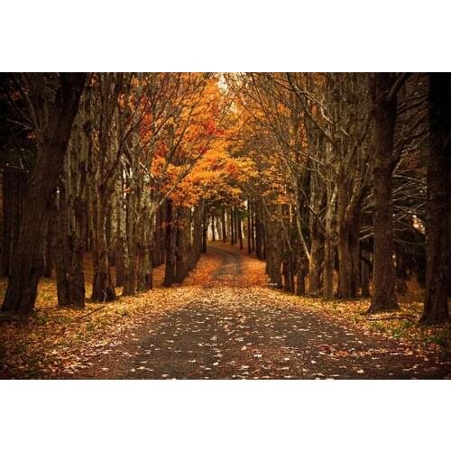 Fallen leaves woods photo backgrounds vinyl outdoor bridal photography backdrop for photographer studio prop fotografia lv-1689