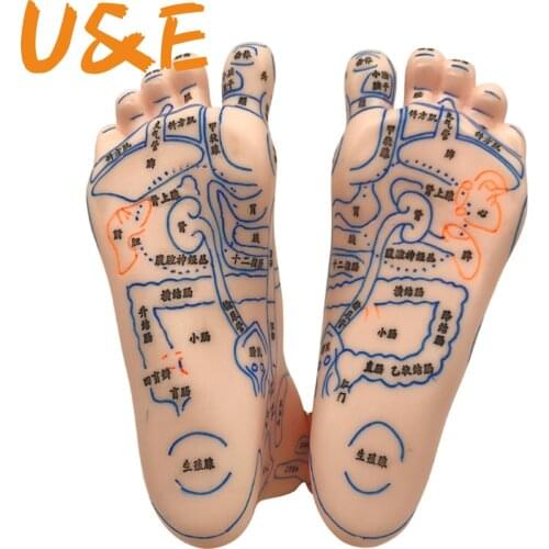 1 pair hand (15cm)+1 pair foot (20*12cm)+ear (16cm) model massage Massage acupuncture points moxibustion