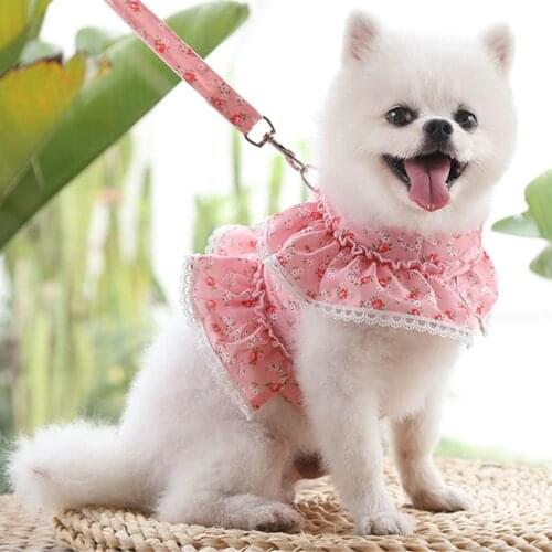 Miflame 2021 New Floral Dogs Harness Small Dogs Clothes Cats Spitz Pomeranian Accessories Princess Puppy Harness And Leash Set