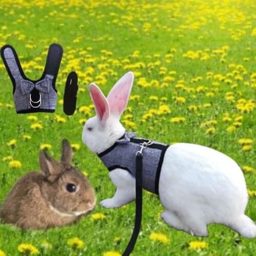 Rabbit Leash Lead Vest Small Animals Mesh Cotton Hamster Harness Leash Pet Strap