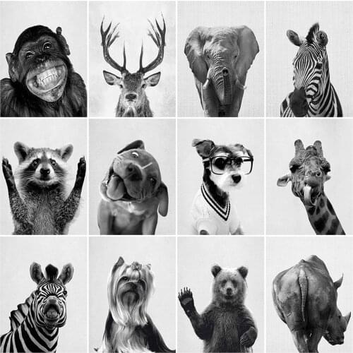 Evershine Diamond Painting Black And White Animals 5D DIY Diamond Embroidery Dog Rhinestone Mosaic Elephant Home Decoration