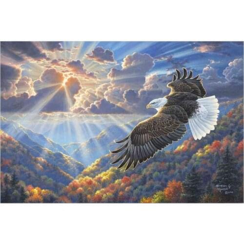 Counted Cross Stitch Kits Needlework Embroidery - Crafts 14 ct Aida DMC Color DIY Arts Handmade Home Decor - Freedom