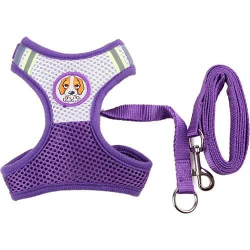 2021 Dog Harness Leads Sets Summer Breathable Cute Style Vests Nylon Rope Cat Outdoor Running Pets Walking Products Supplier