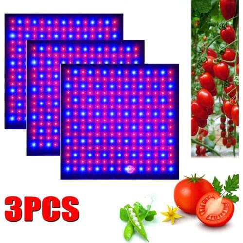 3pcs LED Grow Light 1000W Lamp For Plants Full Spectrum Phyto Lamp Fitolampy Indoor Herbs Light For Greenhouse Led Grow Tent Box