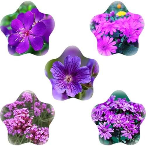 TAFREE Purple Flowers 18 mm Star Shaped Glass Cabochon Photo Flat Back Base Cameo DIY Jewelry Findings Making Accessories