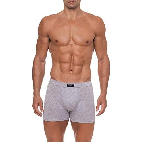 CHANNO Men's Briefs