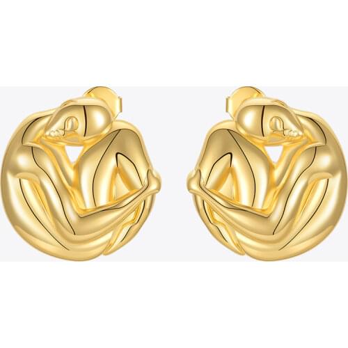 Enfashion Earrings For Children