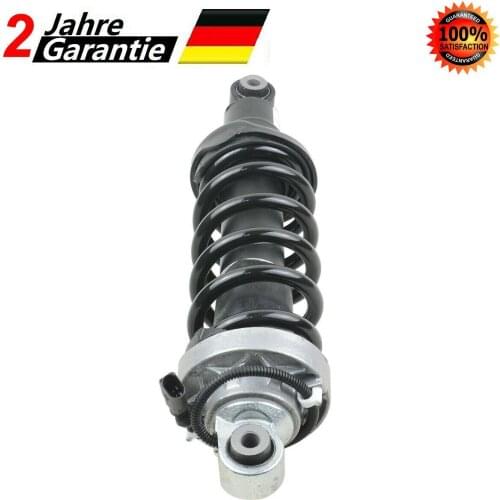 AP01 Air Shock Absorber Shock Rear Left or Right for AUDI R8 D 2007-2012 420512019AG 420512019J 420512020J 420512019Q