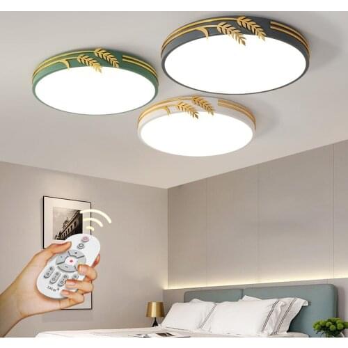 FSS Ceiling Lamps