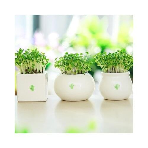 Creative Irregular Shape Plant Cactus Heart-shaped Grass Mini Succulent Ceramic Flowerpot Pots for Plants Succulents Pots