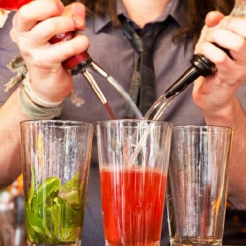 1/2pcs Stainless steel wine Olive Oil Pourer Dispenser Spout Glass Bottle Pourer