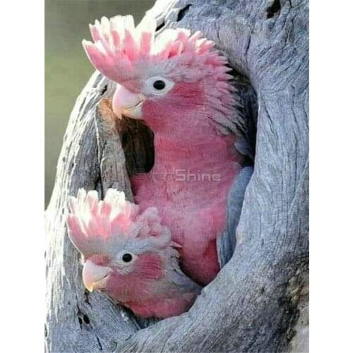 Bird Animal DIY 11CT Embroidery Cross Stitch Kits Craft Needlework Set Cotton Thread Printed Canvas Home Decoration Sell