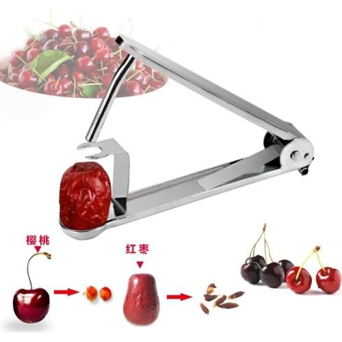 Stainless Steel Jujube Kernel Remover, Cherry Removal Tool, Large Size Date Artifact Creative Tool