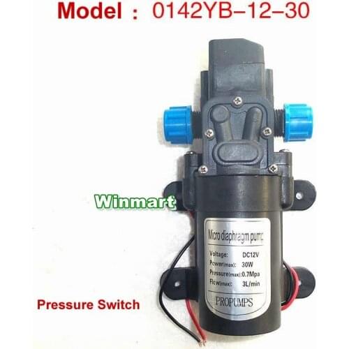 30W DC12V/24V Pressure Switch type Micro Diaphragm Water Pump Self-priming Booster Pump 3L/min Pipe connection