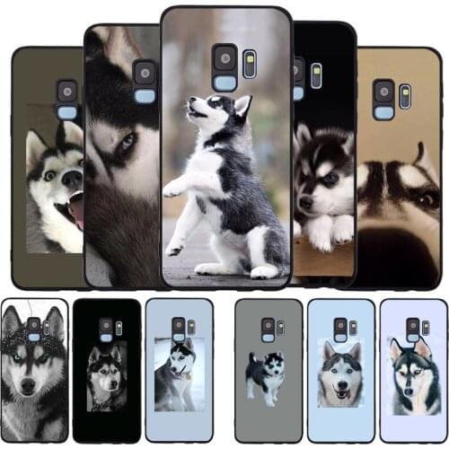 Husky black Soft phone Case For Samsung S20 S10 S9 S8 S7 edge Plus Lite For Note 8 9 10 A6 A7 A8 A9 2018 Cover