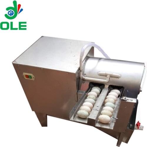 Water Cycle Eggs Cleaning Machine Automatic Egg Washer Cleaner Machine