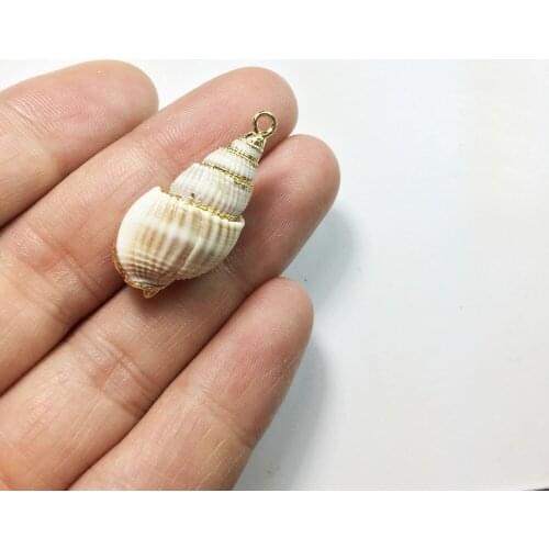 Eruifa Hot sell 5pcs about 25mm Conch Natural Gold Shell Charms Wholesales necklace,earring bracelet jewelry DIY handmade