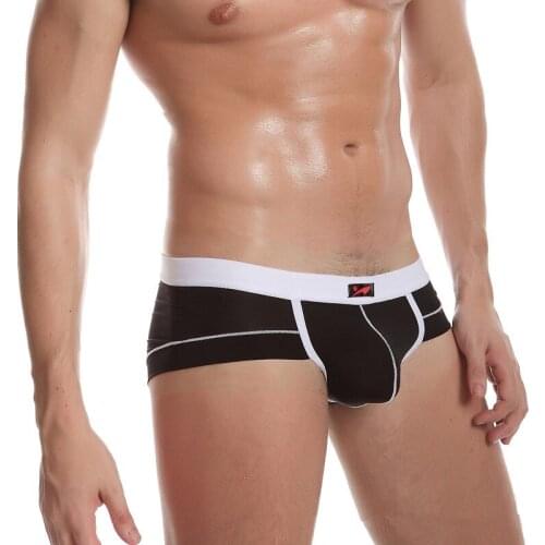 LJ Sexy Mens Ice Silk Underwear Men Best Boxer Shorts Gay Penis Pouch Underpants Men Healthy Comfy Boxers Sleepwear